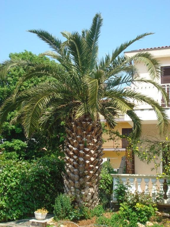 Apartments Labor Vodice Zimmer foto